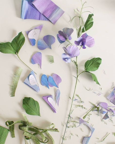 Sweet peas... Such a lovely, summer flower! Swipe for templates! #paperflowers #papersweetpeas #purpleflowers #crepepaperflowers… | Instagram Paper Botanicals, Crepe Paper Crafts, Paper Flower Patterns, Paper Plants, Paper Flower Crafts, Paper Flower Template, Handmade Flowers Paper, Crepe Paper Flowers, Paper Flower Bouquet