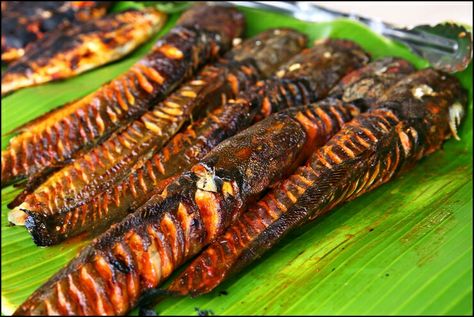 Grilled catfish Grilled Catfish, Ikan Lele, Grill Pan, Catfish, Omega 3, Zucchini, Seafood, Grilling, Indonesia