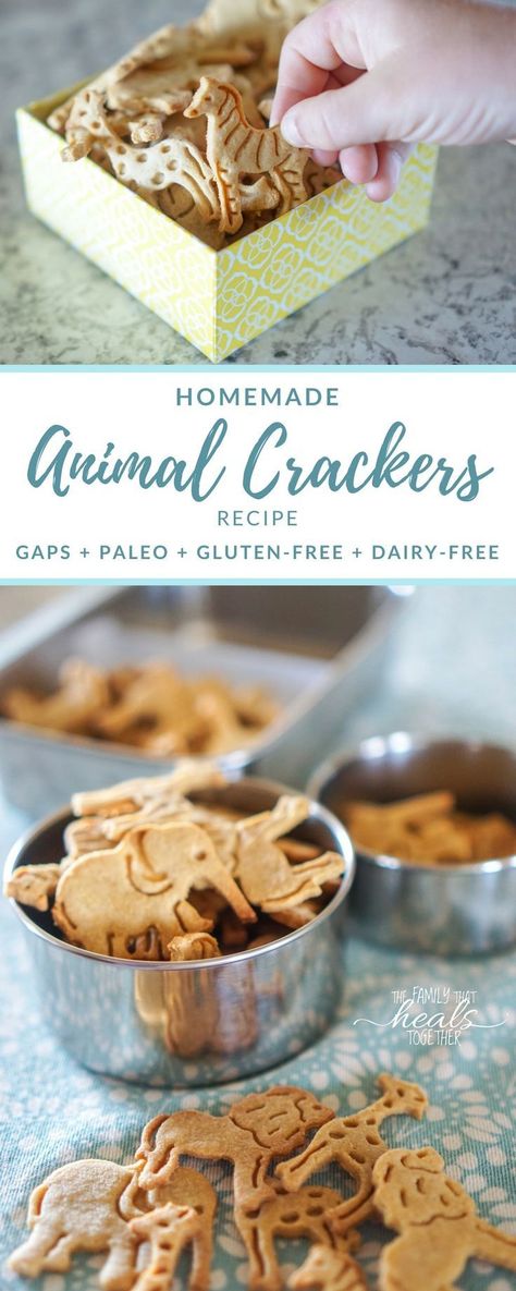 Animal Cracker Recipe, Animal Crackers Recipe, Scarsdale Diet, Diet App, Cracker Recipe, Reminder App, Animal Cracker, Gaps Recipes, Crackers Recipe