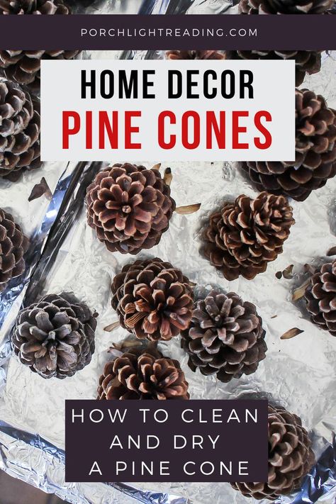 Pinecone Decorations Diy, Pinecone Wedding Decorations, Seasonal Crafts Diy, Pine Cone Christmas Decorations, Cones Diy, Pinecone Crafts Christmas, Pine Cone Art, Diy Spices, Grinch Christmas Decorations