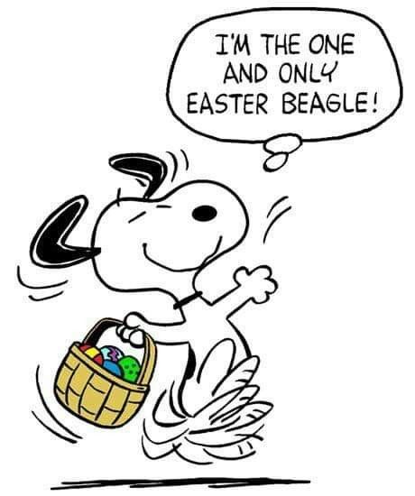 Snoopy Happy Easter, Peanuts Easter Pictures, Charlie Brown Easter, Easter Beagle Charlie Brown, Charlie Brown Svg Peanuts Gang, Snoopy Easter Beagle, Snoopy Easter, Learning Websites For Kids, Easter Beagle