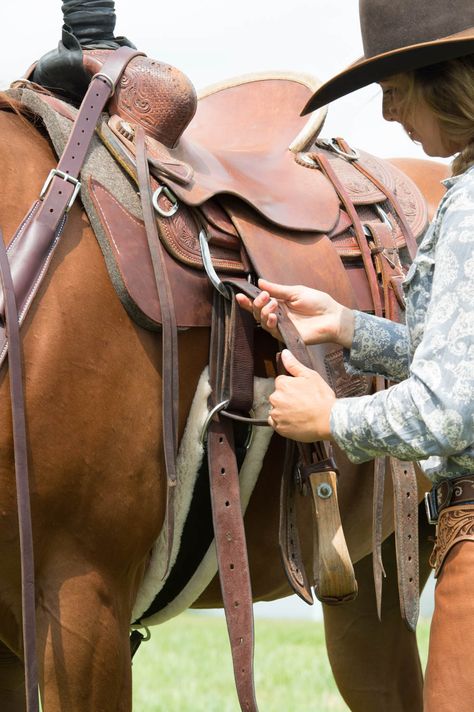 One of the most essential pieces of tack a horse owner can have is a cinch.  But let’s face it, many horse owners aren't aware of how to measure their horse Horse Knots, Saddle Repair, Horses Ranch, Horse Hacks, Ranch Riding, Horse Information, Western Bridles, Horse Care Tips, Saddle Fitting