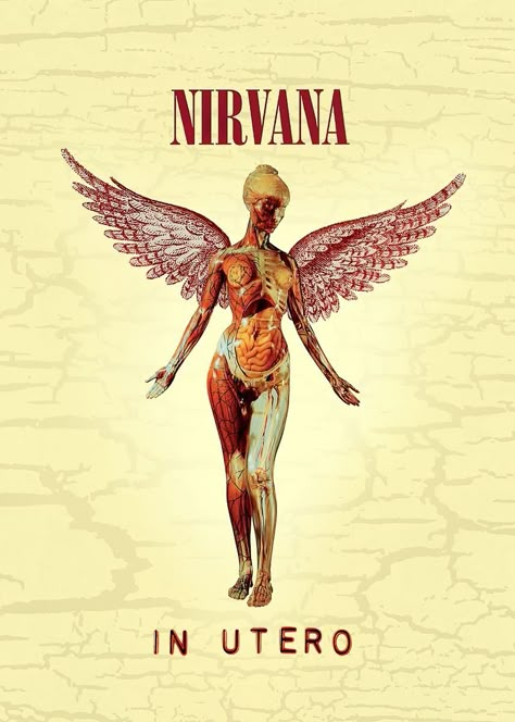 Nirvana In Utero Poster Kuert Cobain Nirvana Album, Nirvana Poster, Nirvana In Utero, Band Covers, Rock Poster Art, Grunge Posters, Posters To Print, Posters For My Room, Cool Album Covers