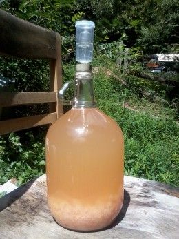 Next spring will be the grand opening of Bunny Run Winery with our first batch of peach wine.  The peaches were delicious this year just not enough of them. @Lauren Graves How to make peach wine...homemade peach wine recipe. Peach Wine Recipe, Wine Making Recipes, Homemade Wine Recipes, Mead Recipe, Wine Basket, Peach Wine, Homemade Alcohol, Homemade Liquor, Mango Avocado Salsa