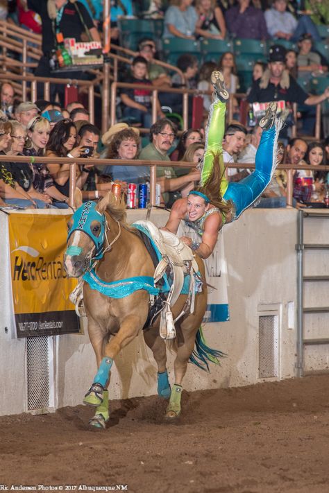 PICTURES OF PROFESSIONAL TRICK RIDING TEAM THE TRIXIE CHICKS TRICK RIDERS: KELSEY LAUBERTH ON COOKIE DOING CRUPPER VAULTS #TRICKRIDING #TRICKRIDERS #TRIXIECHICKS #TRXCHX (ALBUQUERQUE, NM) PC: RIC ANDERSEN Trick Riding Saddle, Kids Saddle, Horse's Neck, Trick Riding, Barrel Racing Horses, English Horse, Horse Posters, Funny Horses, Western Riding