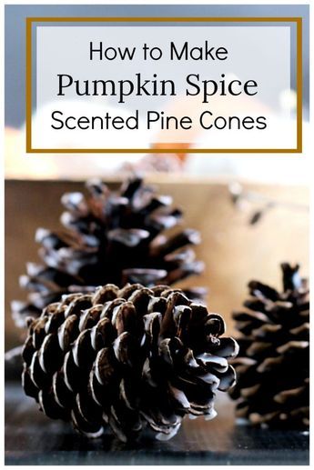 Scented Pine Cones, Homemade Potpourri, Diy Cinnamon, Scented Pinecones, Potpourri Recipes, Diy Scent, Pine Cone Art, Diy Pinecone, How To Make Pumpkin