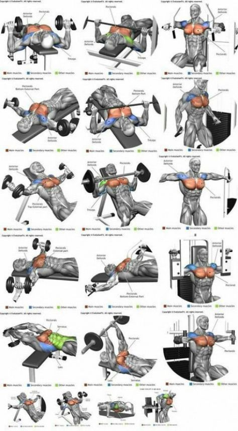 -Variações no treino de Peito. Baixe a imagem para visualizar em alta qualidade. #PsoasRelease Chest Training, Deltoid Workout, Chest Workout At Home, Chest Workout For Men, Corp Perfect, Chest Workout Routine, Gaining Muscle, Latihan Dada, Workout Plan For Men