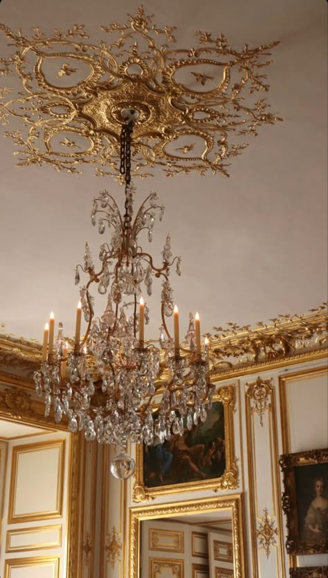 Rococo Chandelier, Rococo Ceiling, French Paneling, Old Money Interior Design, Rococo Interior Design, Old Money Interior, Rococo Architecture, History Of Interior Design, Rococo Interior