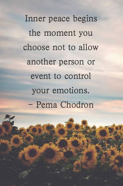 Pema Chodron, Self Love Quotes, Chiropractic, Dermatology, A Quote, Pediatrics, Ayurveda, Inner Peace, Pisa