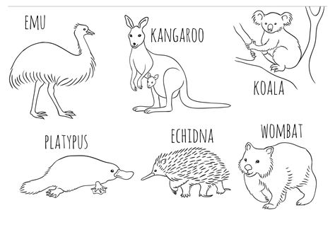 Colouring in activities for kids - Australia Day 2020 Australia Tattoo, Australia Crafts, Eucalyptus Flowers, Aussie Animals, Animal Line Drawings, Aboriginal Education, Australia Art, Fathers Day Coloring Page, Animal Printables