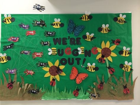 Bugs Door Decorations Classroom, Insects Bulletin Board Preschool, Bug Bulletin Board Ideas Preschool, Bugs Bulletin Board Ideas, Classroom Bug Theme, Bug Door Decorations Classroom, Insects Bulletin Board Ideas, Insect Bulletin Board Ideas Preschool, Bug Theme Preschool Classroom Decor