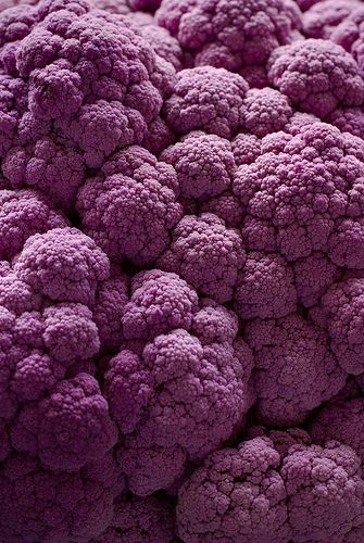 Purple | Porpora | Pourpre | Morado | Lilla | 紫 | Roxo | Colour | Texture | Pattern | Style | Form | Purple Cauliflower, Foto Macro, Purple Food, Food Texture, Texture Inspiration, Texture Photography, Pastel Decor, Organic Forms, 수채화 그림