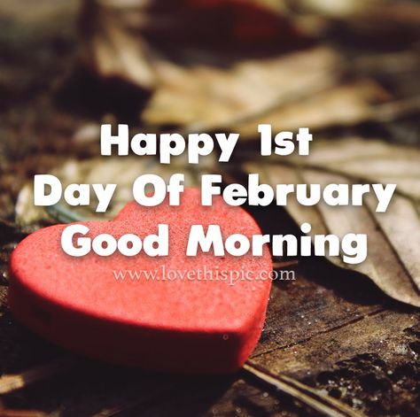 Heart First Day Of February Good Morning Quote Pictures, Photos, and Images for Facebook, Tumblr, Pinterest, and Twitter Quotes For February, February Special Days, First Day Of February, Sunday Morning Blessings, December Wishes, Happy New Month Quotes, Saturday Post, New Month Wishes, Welcome February