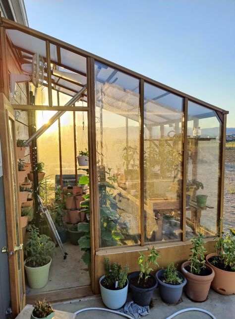 Sturdi-built kit greenhouse built by myself and my husband in the high desert. Desert Homes, High Desert, By Myself, The High, My Husband, Building