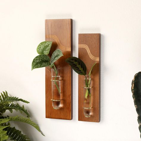 PRICES MAY VARY. 🌱Wooden Propagation Stations: The genuine stained pine wooden plant propagation wall hanging includes TWO different sizes and is perfect for indoor planting on your plant wall. This hanging propagation station is a good choice for growing plant cuttings in a controlled indoor environment on a wall hanging planter. 🌱Stylish Rustic Wall Art: Enhance your wall hanging decor with this charming wooden wall propagation station. This boho home decor with a laser-engraved wave design Plant Propagation Wall, Propagation Wall Hanging, Propagation Wall, Old Wooden Ladders, Indoor Planting, Indoor Plant Wall, Wall Planters Indoor, Propagation Station, Hanging Plant Wall