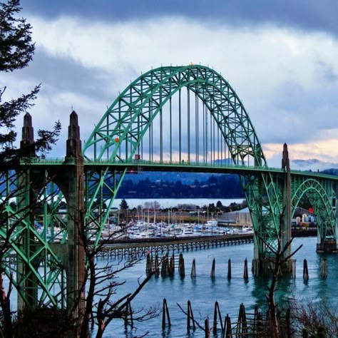 Oregon State Parks, Newport Oregon, Visit Oregon, Gravel Path, Unique Hotels, Oregon Travel, Coastal Town, Tide Pools, The Aquarium