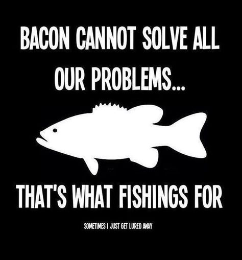 Funny Hunting And Fishing Pictures And Memes http://bink-spoons.myshopify.com Funny Fishing Memes, Fishing Sayings, Funny Fishing Quotes, Fishing Pole Storage, Fishing Jokes, Funny Hunting, Hunting Stuff, Fishing Store, Hunting Humor