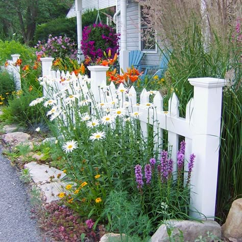 Picket fence with perennial plantings English Garden Front Yard, Front Yard Flowers, Privacy Landscaping, Small Front Yard Landscaping, Small Front Yard, Landscaping Front Yard, Cottage Garden Design, Front Yard Fence, White Picket Fence