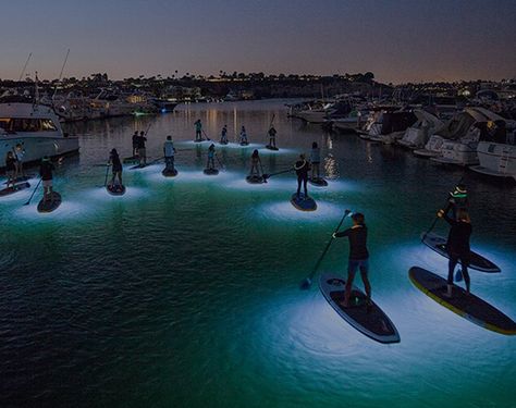 NOCQUA Adventure Gear – We know adventure Night Kayaking, Summer Backyard, Paddle Boards, Summer Plans, Summer Goals, Summer Bucket Lists, Summer Bucket, Summer Dream, Summer Pictures