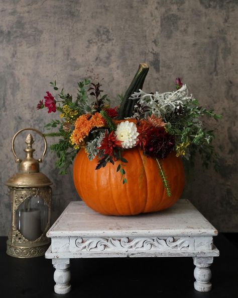 It’s pumpkin season 🎃 Don’t forget to order your floral pumpkin arrangements! Only 2 weeks left to get your order in #pumpkin #fall #flowerpumpkin #floraldesign #delaware #delawareflowers #floraldesigner #flowerfarmerflorist #delawarephotographer #flowerphotography #womenownedbusiness #fallseason Pumpkin Flower Centerpiece, Flower Arrangement Workshop, Pumpkin Vase, Pumpkin Arrangements, Fake Pumpkins, Sunflowers And Daisies, Flower Candle Holder, Flower Centerpiece, Pumpkin Flower