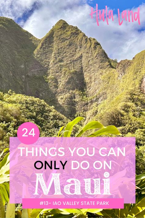 24 things to do on Maui, including Iao Valley, Haleakala Sunrise, Road to Hana, snorkeling Molokini, and exploring Upcountry on your Maui vacation. Hawaii Bucket List, Molokini Crater, Haleakala Sunrise, Best Beaches In Maui, Hawaii Vacation Tips, Maui Honeymoon, Maui Snorkeling, Maui Itinerary, Hawaii Itinerary