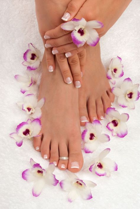 Pedicure Pictures, Manicure Quotes, Deco Spa, Spa Manicure, Manicure Colors, Nail Salon Design, Manicure Y Pedicure, Manicure E Pedicure, Mani Pedi