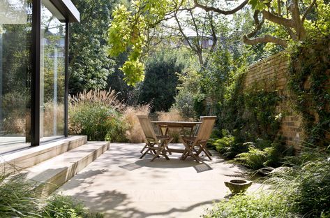 Woodland Plants, London Garden, Starting A Garden, Garden Structures, Small Gardens, Raised Garden, Urban Garden, Small Garden, Backyard Garden