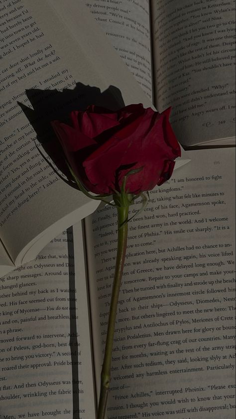 A rose on top of open books Book And Rose Aesthetic, Rose Day Instagram Story, Aesthetic Rose Pic, Roses Pictures Instagram, Valentines Day Videos Aesthetic, Rose Day Aesthetic, Aesthetic Bg For Instagram Story, Aesthetic Photos For Instagram Profile, Valentine Story Instagram Ideas