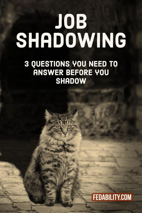 To get the most of your job shadow you’ll want to first think about the: Why, Who, When.  Done well, job shadowing can be one of the most effective, lowest time commitment development activity you can use. Job Shadowing Questions, Job Shadowing, Critical Questions, Talent Development, Development Activities, Career Education, Too Busy, The 3, Career