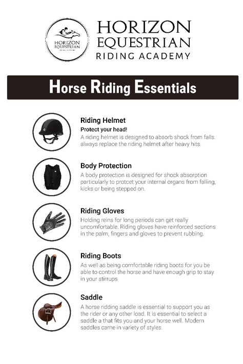 Equestrian Essentials, Mental Activities, Equestrian Horses, Healthy Horses, Romantic Life, Horse Riding Equestrian, Equestrian Riding, Equestrian Sports, Class Notes