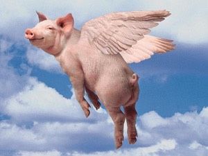 Biffo and the pig that couldn’t fly | DAILY DRONE | Alastair McIntyre Flying Pigs Art, Chester Races, Hatch Drawing, Pig Art, Flying Pig, Slip And Slide, Funny Profile Pictures, Arte Animal, Flip Book