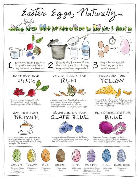 Naturally Dyed Easter Eggs | Darcy Miller Designs Turmeric Dye, Shaving Cream Easter Eggs, Purple Easter Eggs, Cool Easter Eggs, Natural Easter Eggs, Decorate Easter Eggs, Dyed Easter Eggs, Naturally Dyed Easter Eggs, Egg Yellow