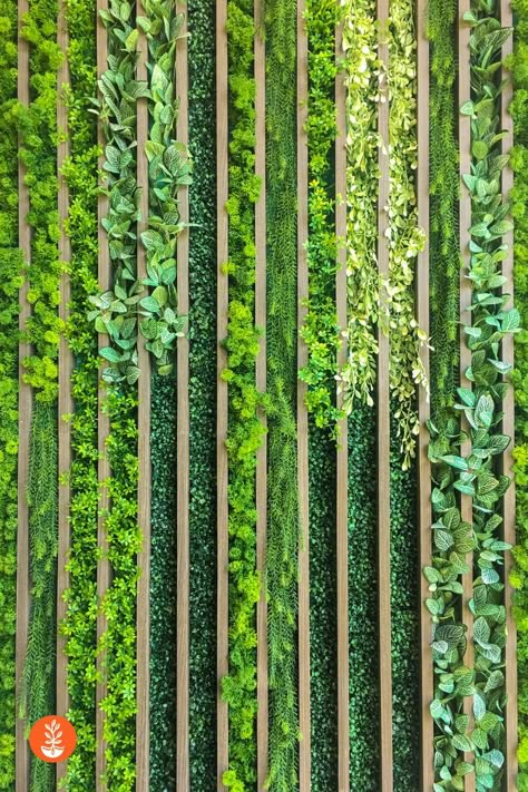 Enclosed Staircase, Vertical Plant Wall, Ideas Para Decorar Jardines, Grow Vertically, Green Wall Garden, Vertical Green Wall, Vertical Planting, Vertical Garden Design, Timber Screens