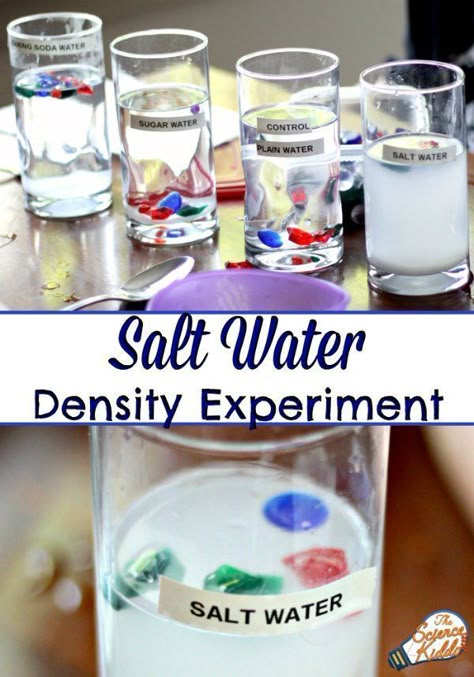 This super easy salt water experiment is the perfect science activity to teach kids about the density of salt and fresh water. Great for an ocean unit! Ocean Art Preschool Activities, Science Exploration Preschool, Ocean Activities Elementary, Salt Water Experiment, Ocean Science Experiments, Vetenskapliga Experiment, Kitchen Science Experiments, Science Experience, Water Experiments