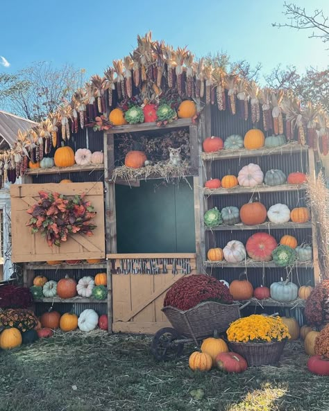 Fall Festival Decorations, Pumpkin Show, Fair Display, Fall Fest, Flower Cart, Autumn Display, Farm Stand, Craft Booth, Flower Planters