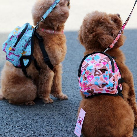 Nylon Heart Or Flower Shop Pet Dog Bags Backpacks For Small Dogs 2015 New Supplies Pet Products For Animals Dog Bags, Basic Dog Training, Puppy Accessories, Dog Backpack, Photo Charms, Dog Bag, Dog Training Obedience, Pandora Bracelets, Dog Behavior