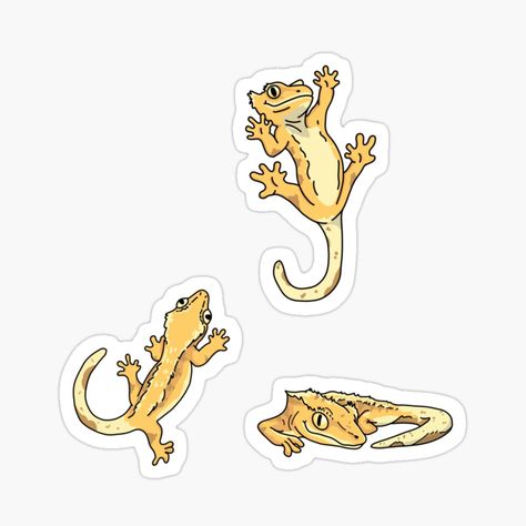 Crested Gecko Drawing Easy, Crested Gecko Illustration, Crested Gecko Tattoo, Crested Gecko Drawing, Reptile Stickers, Gecko Pet, Crested Gecko Habitat, Gecko Tattoo, Crested Geckos