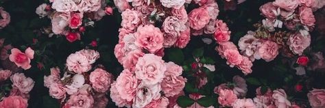 Flowers Discord Banner, Twitter Header Flowers, 2023 Facebook Cover, Rosé Header, Facebook Cover Photos Flowers, Background Facebook Cover, Facebook Cover Photos Vintage, Background Facebook, Tumblr Header