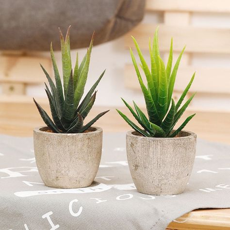 Arrives by Wed, Nov 15 Buy D-GROEE Fake Plants for Bathroom/Home Office Decor, Small Artificial Faux Succulent Greenery for House Decorations at Walmart.com Plants For Bathroom, Fake Potted Plants, Garden Figurines, Fake Succulents, Paper Pulp, Plant Shelf, Bathroom Plants, Artificial Succulents, Bonsai Plants