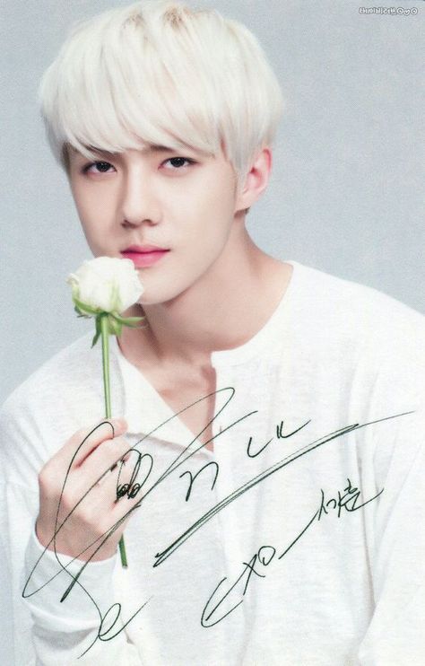 Exo Nature Republic, Exo Photo, Exo 2014, Exo Official, Artistic Wallpaper, Nature Republic, Kris Wu, Kpop Exo, Exo Sehun