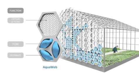 Water Collecting System, Water Capture System, Rain Collecting System, Nature Inspired Architecture, Water Collection System, Water From Air, Water Harvesting, Rainwater Harvesting System, Water Generator