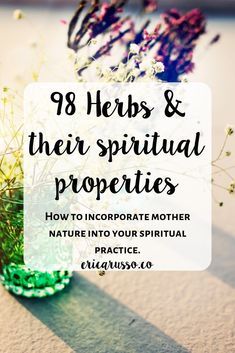 Want a LONG list of herbs and their spiritual properties to help your incorporate them in your spiritual practice? Look no further! List Of Herbs, Herbal Witch, Witchcraft Herbs, Herbs List, Magickal Herbs, Witch Herbs, Magia Das Ervas, Magic Herbs, Kitchen Witchery