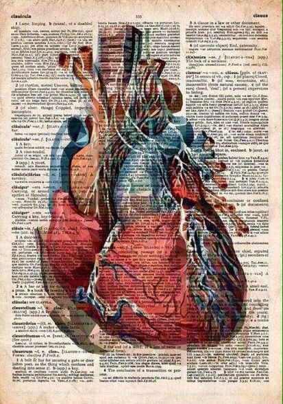 Vintage Medical Art, Quirky Interior, Anatomy Wall Art, Anatomical Heart Art, Medical Drawings, Medical School Life, Medical Posters, Medical Student Motivation, Med School Motivation