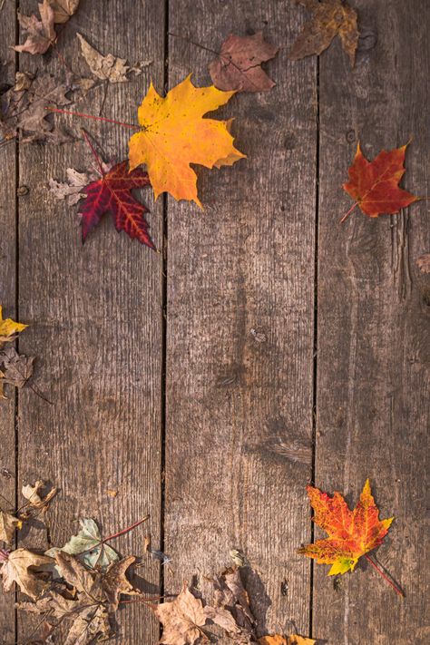 Fall Background Wallpaper, Wooden Wallpaper, Neutral Fall Decor, Fall Images, Fall Background, Beautiful Wallpapers Backgrounds, Wood Wallpaper, Leaf Background, Leaf Wallpaper