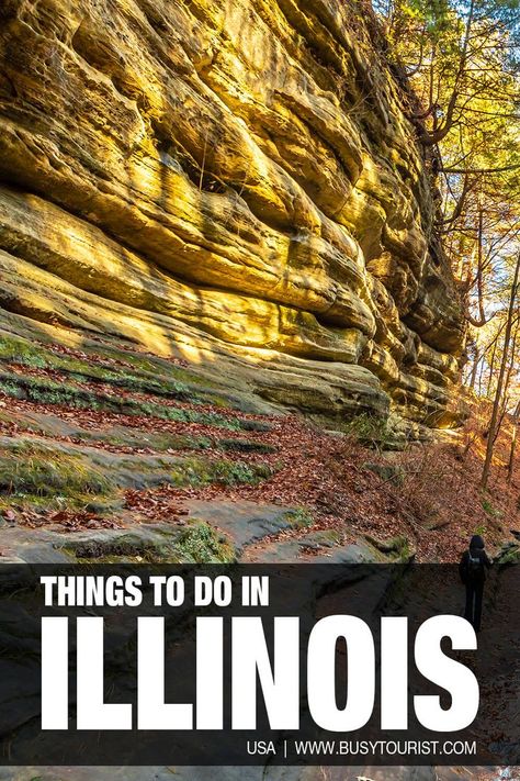 Planning a road trip around Illinois? This travel guide will show you the top attractions, best activities, places to visit & fun things to do in Illinois. Start planning your itinerary & bucket list now! #Illinois #thingstodoinIllinois #usatravel #usatrip #usaroadtrip #travelusa #ustravel #ustraveldestinations #travelamerica #americatravel #vacationusa Things To Do In Illinois, Illinois Travel, Planning A Road Trip, Central Illinois, Us Travel Destinations, Vacation Usa, Road Trip Planning, Road Trip Usa, Travel Advice