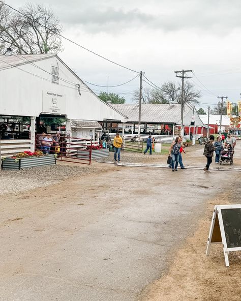 Good Morning from Mason City, Iowa! Up at 4:30AM sharp in Ames and hit the road by 5:20AM. All the fair goers and show-ers (however you say that) are busy making their cattle beautiful and we are set up and ready for you! We brought our Christmas in July deals your way so stop on in and see me 🫶🏻 Good luck to everyone in the niacattlebattle North Iowa Cattle Battle! Have a great show! 🏆 Mason City Iowa, Pearl And Lace, Hit The Road, The Fair, Christmas In July, See Me, The 4, Iowa, Good Luck