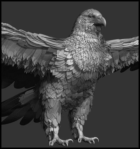 eagle 3d model 3d model obj ztl tga 9 Lahore Pigeon, Traditional Tattoo Drawings, Zbrush Models, Eagle Drawing, Cinematic Trailer, Animal Anatomy, An Eagle, My Stuff, 3d Modelling