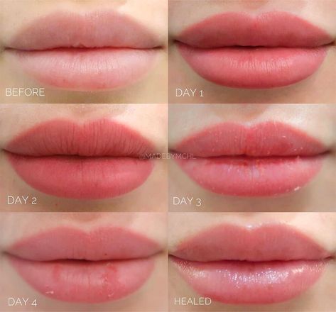 Does Lip Blush Hurt? What Lip Tattooing Feels Like Lip Blush Colors For Blondes, Natural Lip Tattoo, Lip Blush Color Chart, Natural Lip Blushing Tattoo Colors, Lip Tint Tattoo, Healed Lip Blush, Lip Blushing Tattoo Healing, Lip Blushing Colors, Lip Blush Healing Process