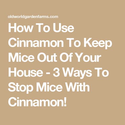 Home Remedy To Get Rid Of Mice, Deter Mice From House, How To Mouse Proof Your House, Diy Mouse Repellent Homemade, Homemade Mice Repellent, Keeping Mice Out Of House, Mouse Repellent Diy Cinnamon, Natural Mouse Repellent For Home, How To Keep Mice Out Of Your House