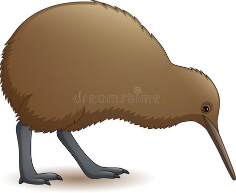 Kiwi Cartoon, Cute Kiwi Bird, Kiwi Illustration, Illustration Bird, Bird Vector, Kiwi Bird, Cartoon Funny, Button Art, Bird Illustration